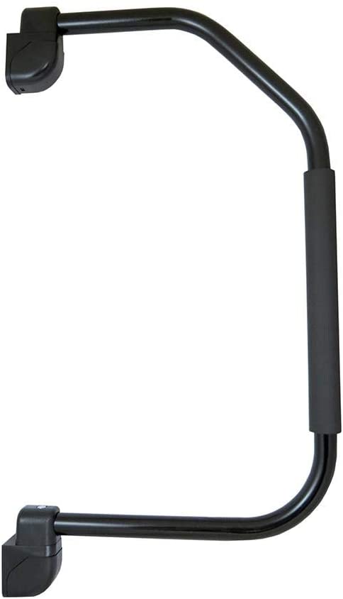 Lend-A-Hand The Folding Assist Rail