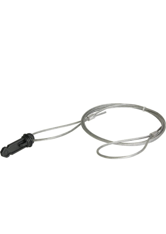 Pin and cable