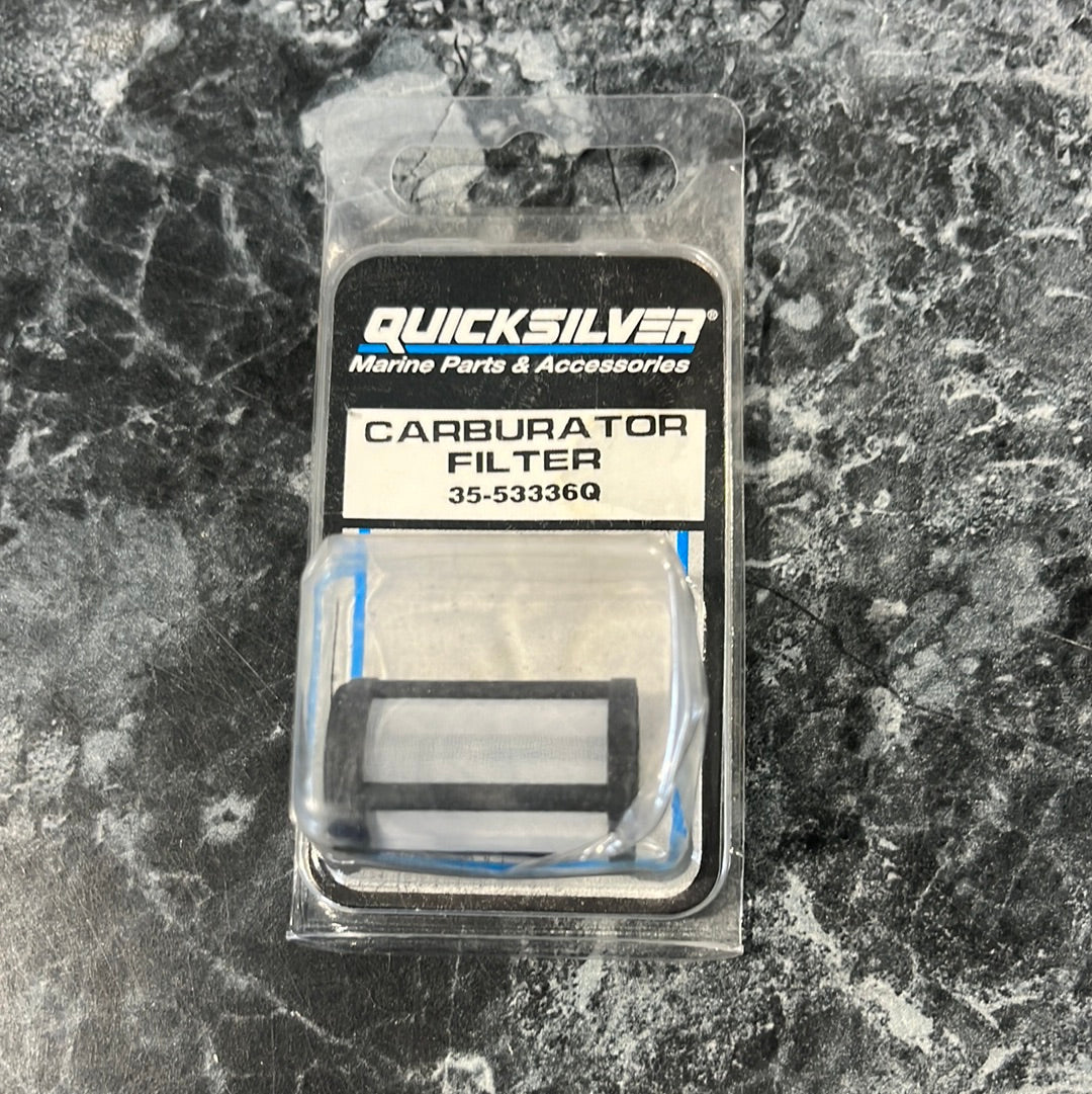 Carburetor filter